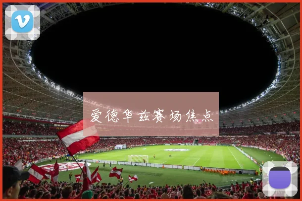 爱德华兹赛场焦点