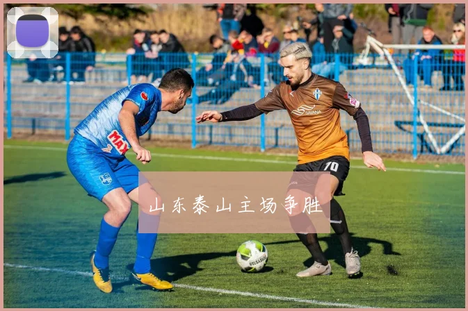 山东泰山主场争胜