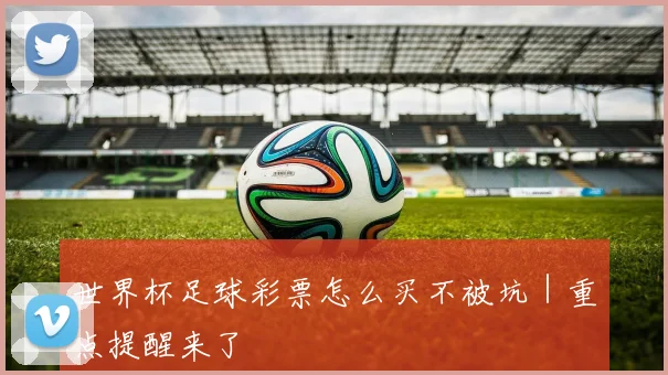 世界杯足球彩票怎么买不被坑｜重点提醒来了
