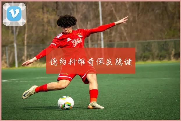 德约科维奇保发稳健
